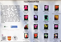 /album/edelsbach-tulpenwanderweg-16-februar-2024/tulpenwanderweg-16-02-2024-46-jpg/
